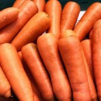 凈菜出口 出口凈菜 大姜出口 大蔥出口